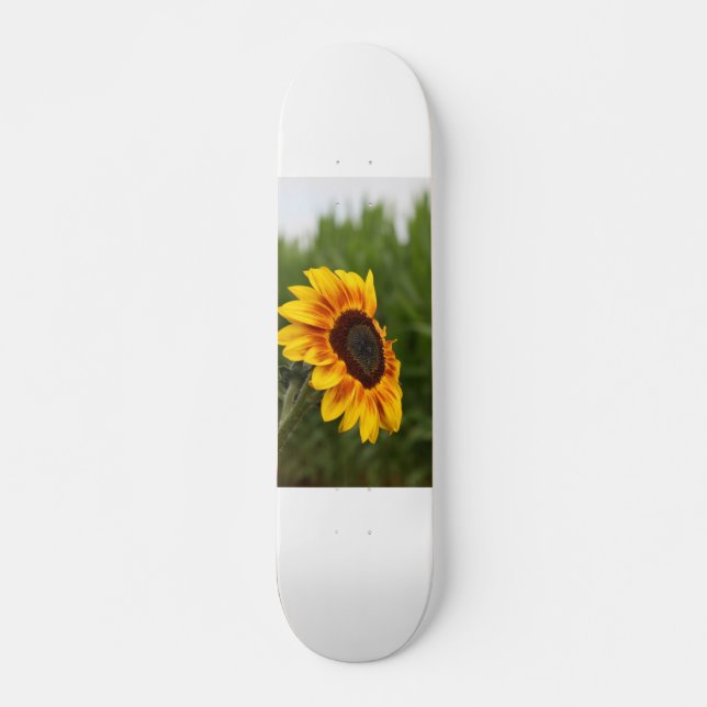 Tournesol Skateboard (Devant)