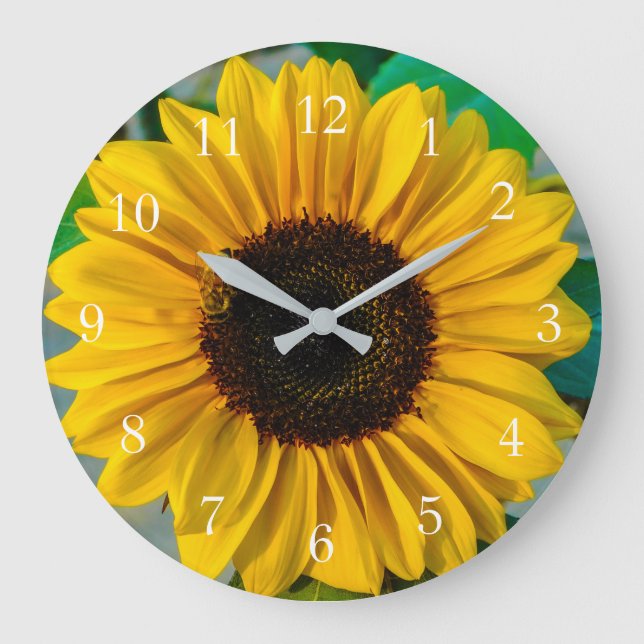 Tournesol Suprême Grande horloge (Recto)