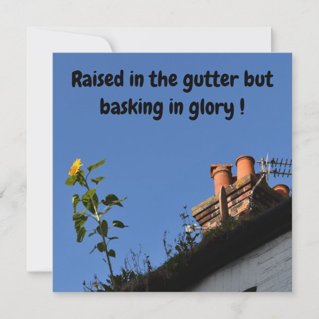 Tournesol sur le toit. (Devant)