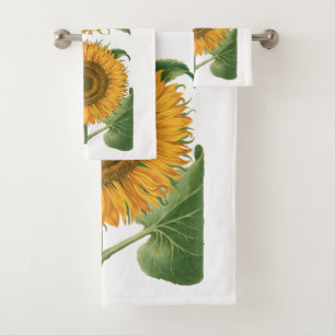 Tournesol Vintage par Basilius Besler