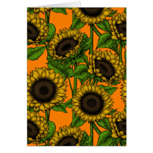 Tournesols