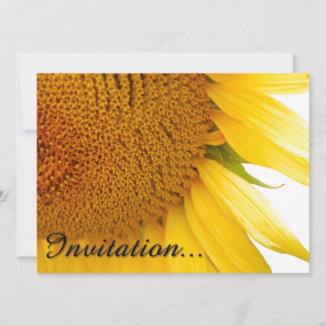 Tournesols (Devant)