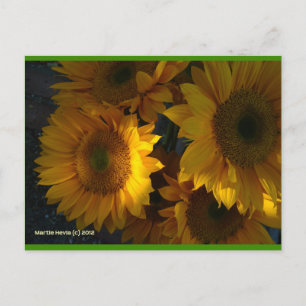 Tournesols à Dusk   Carte postale Blue Beach Song™