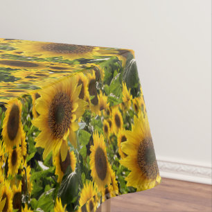Tournesols à nappes