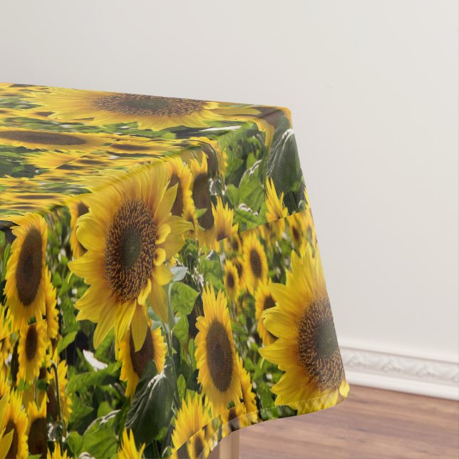 Tournesols à nappes (In Situ)