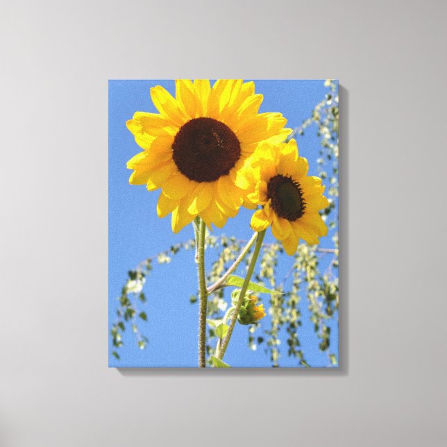 Tournesols dans la toile du ciel Imprimer (Recto)