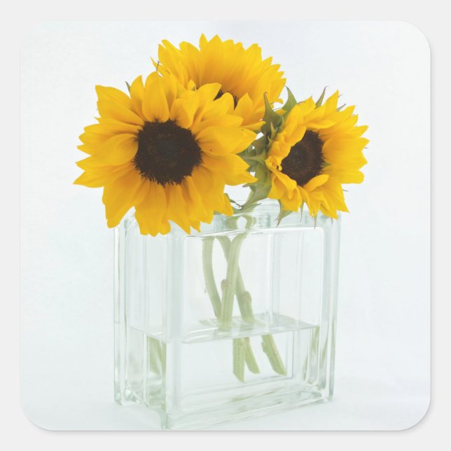 Tournesols dans un Vase autocollants (Devant)