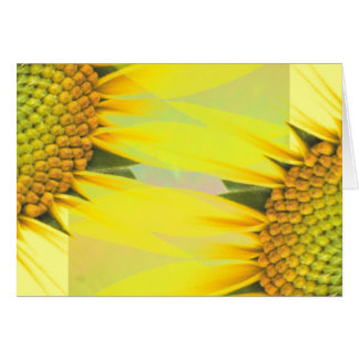 Tournesols de printemps