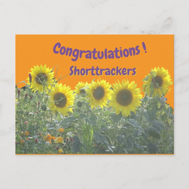 Tournesols Félicitations Texte Carte Postale perso (Devant)