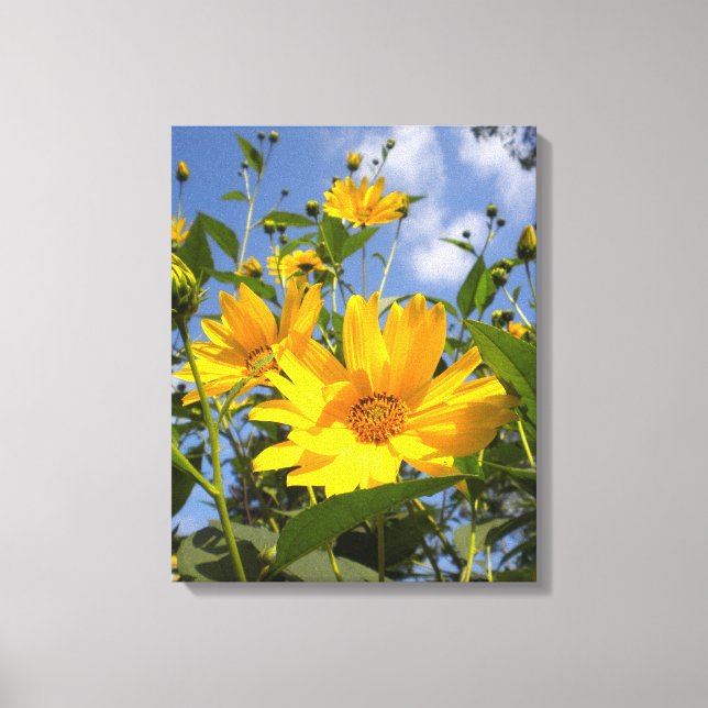 Tournesols N Ciel Enveloppé Toile (Recto)
