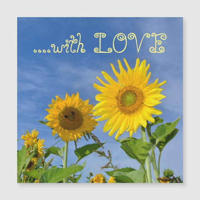 Tournesols pour toi ... (Devant)