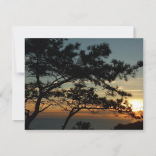 Tourrey Pine Sunset I California Paysage