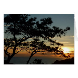 Tourrey Pine Sunset I California Paysage