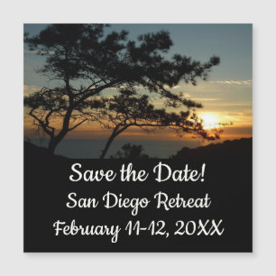 Tourrey Pine Sunset I California Paysage