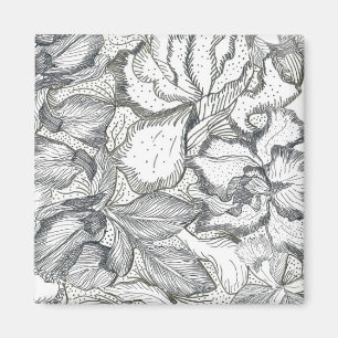 Tous les aimants Iris