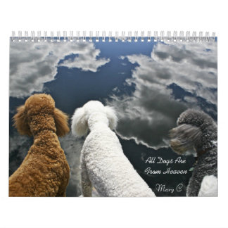 Tous les chiens sont de calendrier de ciel