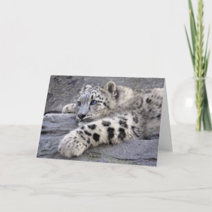 Tous ont joué la carte