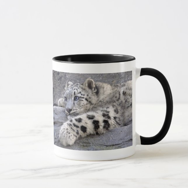 Tous ont joué la tasse (Droite)