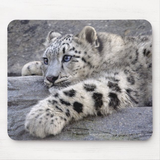 Tous ont joué le tapis de souris (Devant)