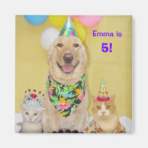 Tout aimant d'anniversaire d'année