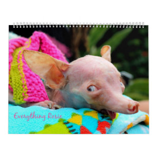 Tout calendrier de Rosie