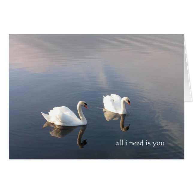 tout ce dont j'ai besoin, c'est toi (Devant horizontal)