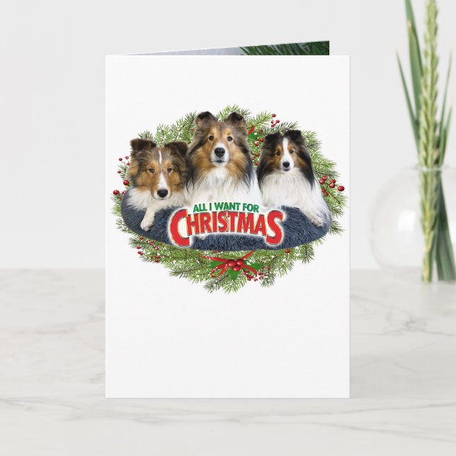 "Tout ce que je veux pour Noël" Chroniques Carte d (Devant)