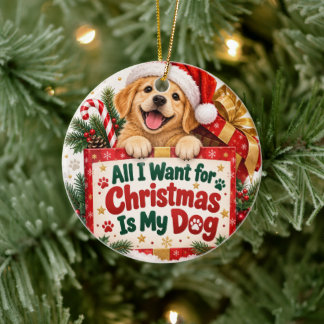 Tout ce que je veux pour Noël est mon ornement de