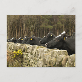 Tout dans une carte postale de ligne