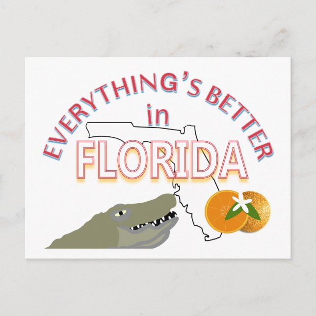Tout est mieux en Floride Carte postale (Devant)