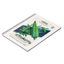 Tout va être Okray Carnet