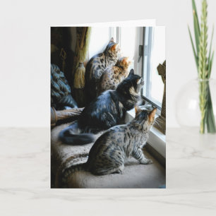Toute la carte de voeux d'occasion - chats à la