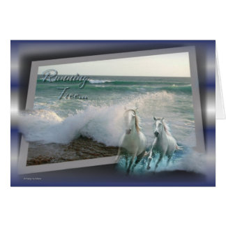 Toute la carte d'occasion