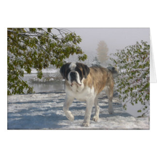 Toute la carte gretting d'occasion