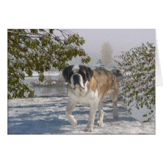 Toute la carte gretting d'occasion (Devant horizontal)