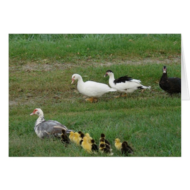 Toute la famille (Devant horizontal)