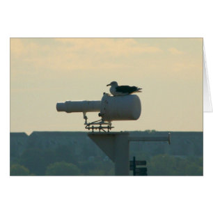 Toute votre base sont appartiennent à nous