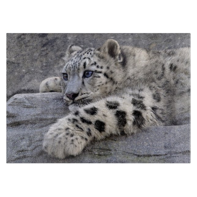 Toutes Jouées Rectangulaire Planche à découper en  (Devant)