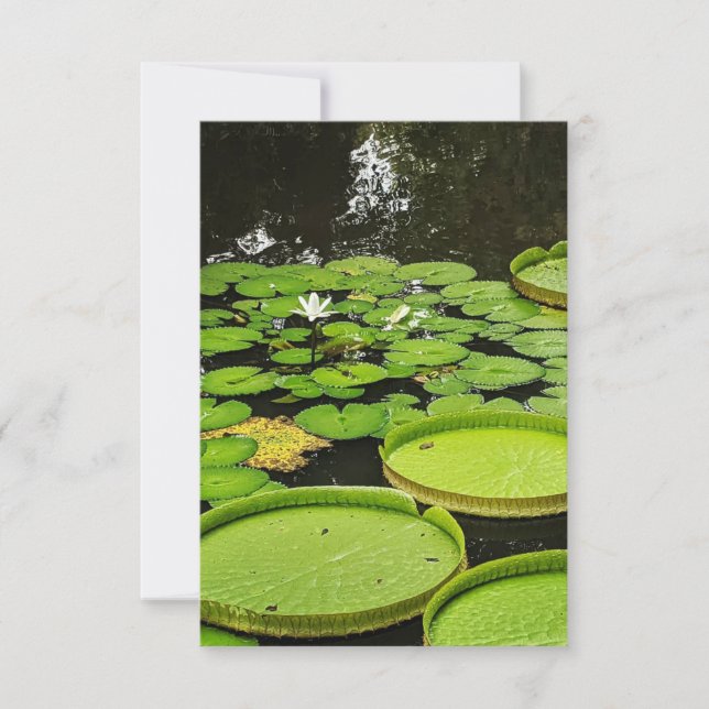 Toutes les cartes d'occasion (Devant)