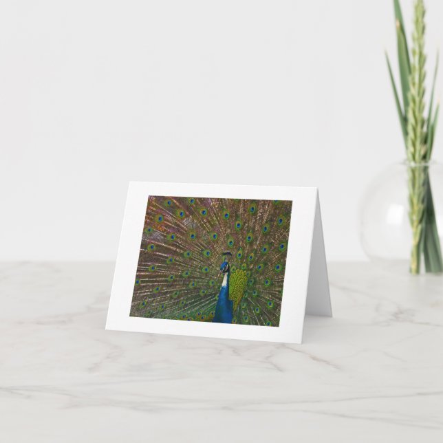 Toutes les cartes d'occasion (Devant)