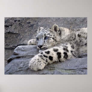 Toutes les impressions lues