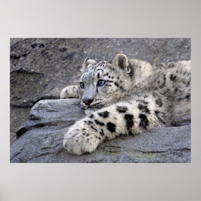 Toutes les impressions lues (Devant)