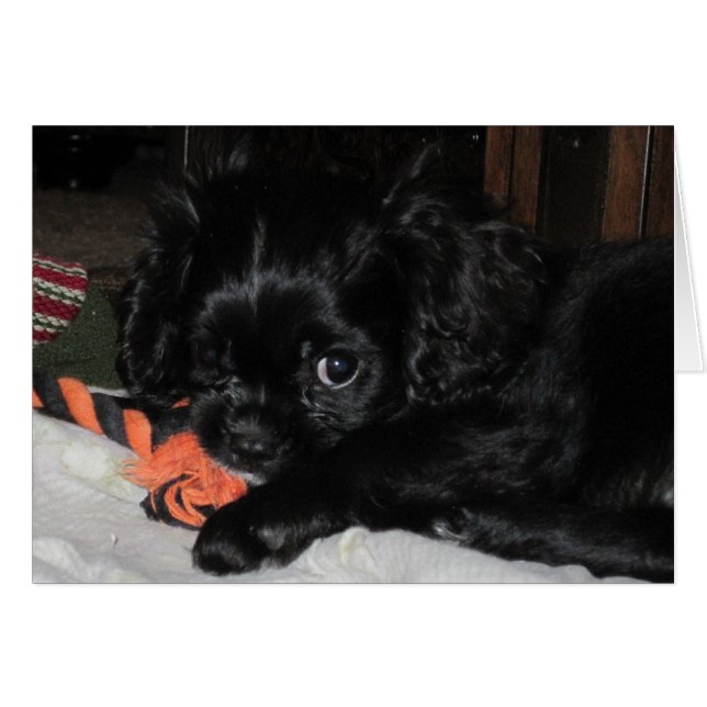 Toutes les miennes (Devant horizontal)