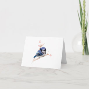 Toutes les occasions Blue Jay Bird Carte de voeux 