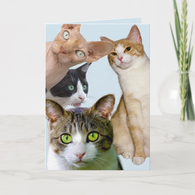 TOUTES LES OCCASIONS CARTE DE SALUT CAT (Devant)