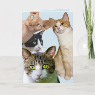 TOUTES LES OCCASIONS CARTE DE SALUT CAT