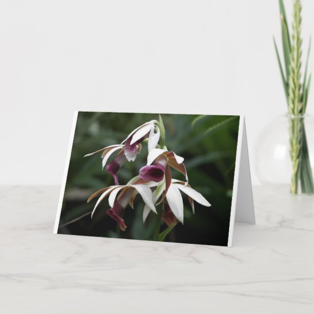 Toutes les occasions carte de voeux avec belle fle (Devant)
