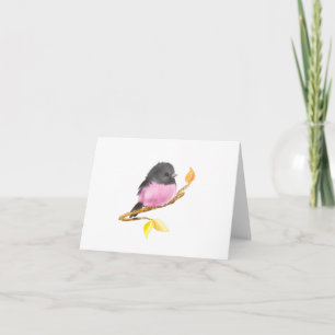 Toutes les occasions Pink Robin Bird Blank Carte p