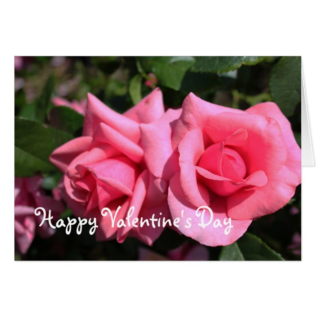 Toutes les occasions rose rose chaud, ajouter votr (Devant horizontal)