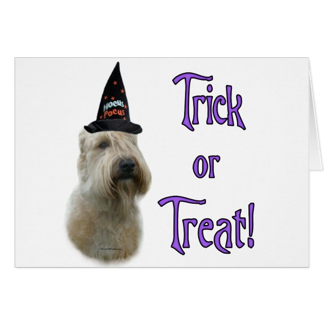 Trac à roulettes à revêtement souple (Devant horizontal)